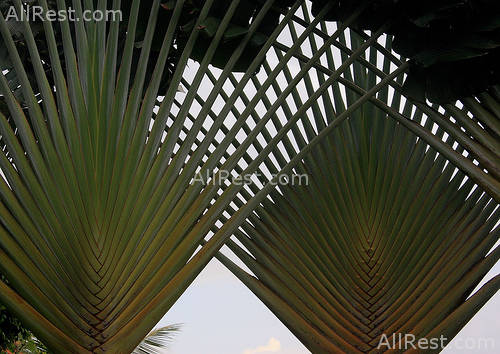 Ayodya Resort Bali 7